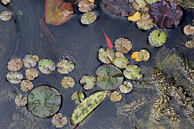 《异形：坠入黑暗》开放预购并推出一支精彩的预告片